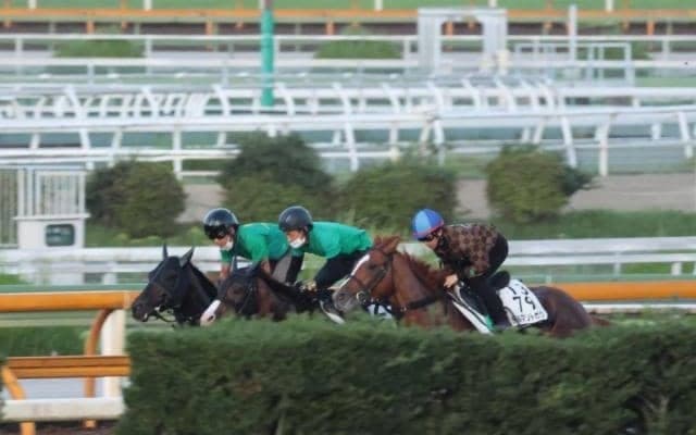 デルマソトガケ、日本テレビ盃追い切り速報/栗東トレセンニュース