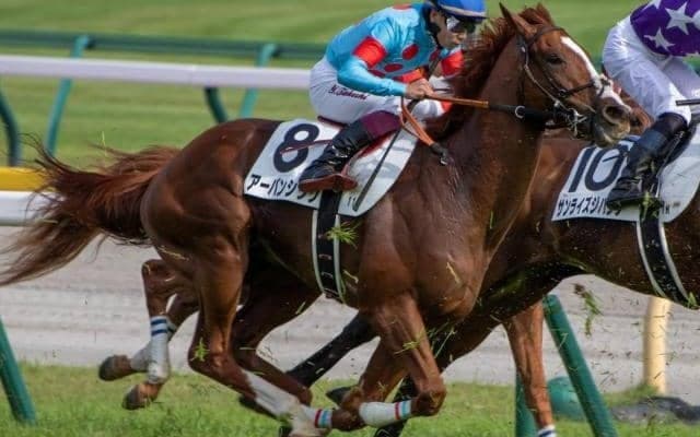 セントライト記念で惜敗続きのルメール騎手 テン乗りのパートナーと初制覇なるか