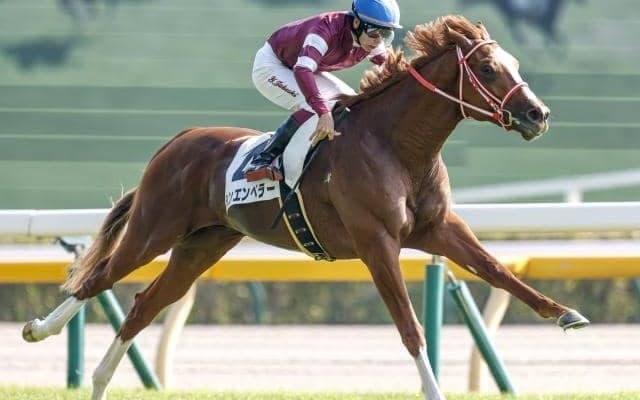 凱旋門賞と好相性の愛チャンピオンSが開催 “バリバリの欧州血統”シンエンペラーに注目