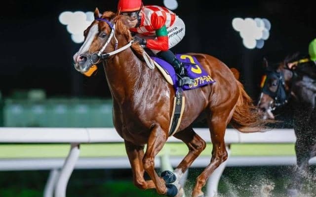 【大井・アフター5スター賞結果】エンテレケイアが逃げ切って重賞連勝！