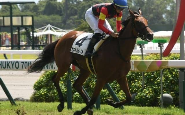 【ローズS予想】先行タイプは過信禁物 AIの注目馬はレース傾向を覆せるか