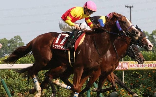 【セントウルS】トウシンマカオが鮮やかな差し切り