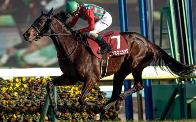 【セントライト記念出走馬・騎手確定】コスモキュランダ＆M.デムーロ騎手、スティンガーグラス＆武豊騎手など14頭