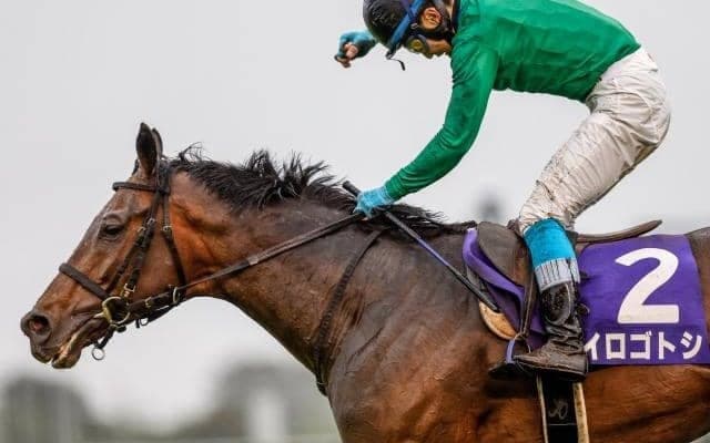 中山GJ連覇のイロゴトシに左前浅屈腱炎が判明 今後は9カ月以上の休養要す見込み
