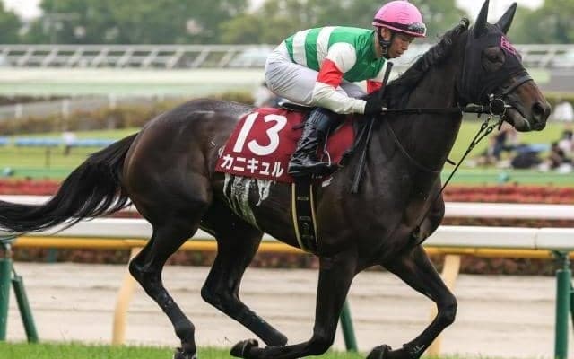 名牝系出身の期待馬 秋の大舞台に向け結果が求められるローズSに挑む