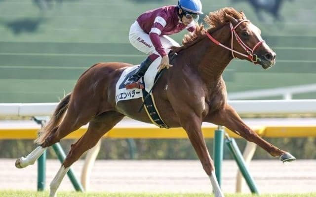 【愛チャンピオンS枠順】シンエンペラーは3番ゲート、ディープ産駒オーギュストロダンは4番ゲート