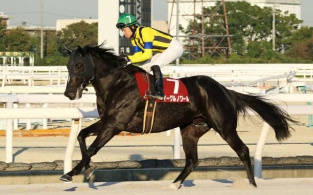 【オーバルスプリント】イーグルノワールなどJRA4頭