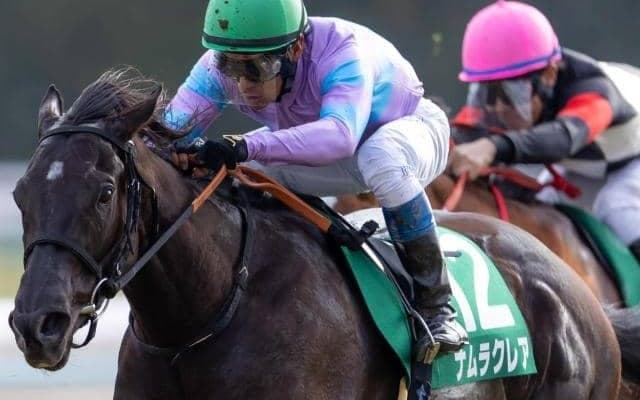重賞4勝快足ガールの半妹 スプリンターズS有力馬の姉に吉報を届けるか