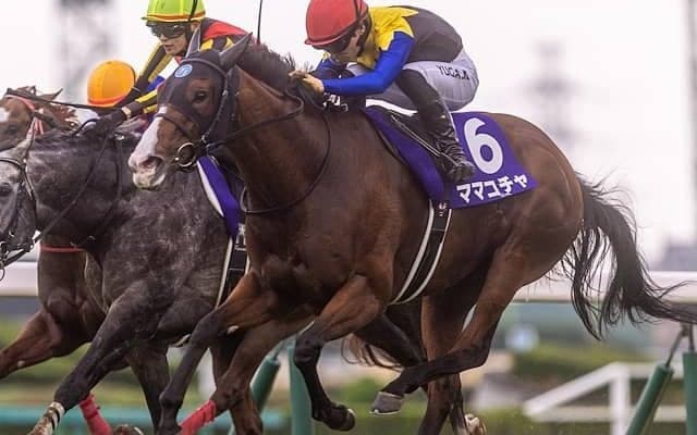 【スプリンターズS想定馬・騎手】ママコチャ、サトノレーヴなど21頭