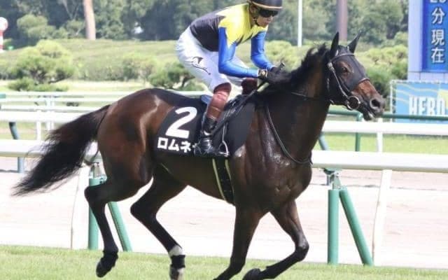 半妹は三冠牝馬のリバティアイランド ロムネヤが御宿特別で待望の3勝目なるか