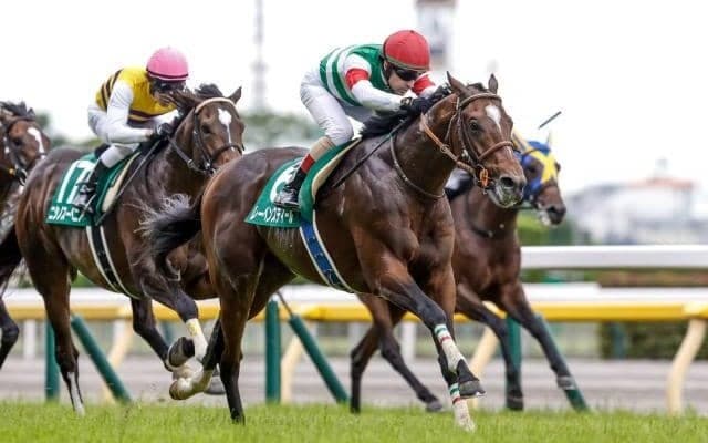 【オールカマー想定馬・騎手】レーベンスティール、ミクソロジーなど15頭