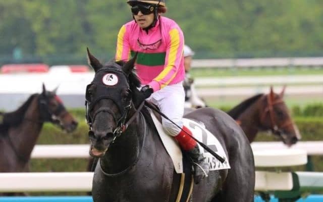 【今日の注目ポイント】中京の阪神JSでテイエムタツマキが重賞初制覇を狙う