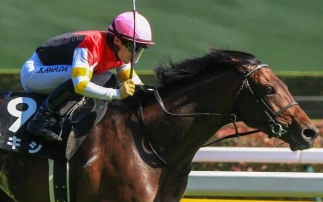 母はエリザベス女王杯覇者 良血の大器がオープン初勝利狙う