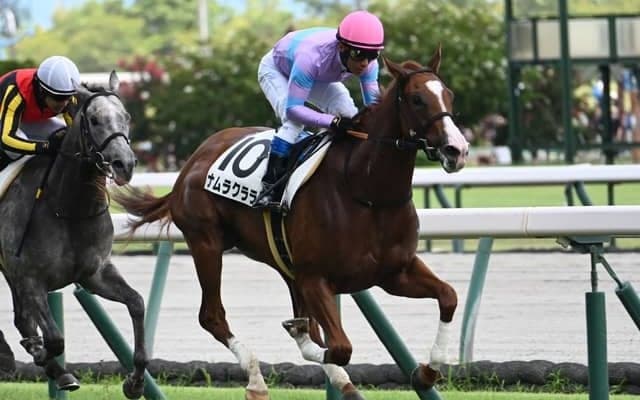 【中京5R新馬戦結果】アドマイヤマーズ産駒ナムラクララがV 半姉は重賞4勝のナムラクレア