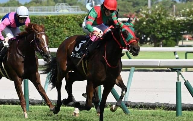 【ききょうS結果】5頭立ての最低人気スリールミニョンが直線一気V