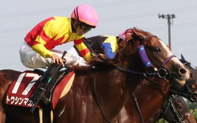 【セントウルS】菅原明「大きく走らせた方がいいタイプ」トウシンマカオが重賞4勝目