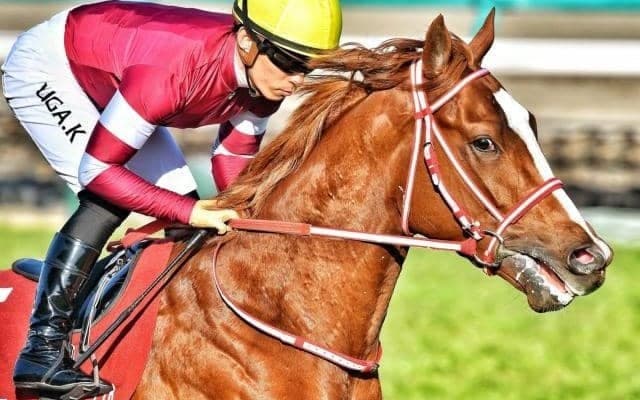 【愛チャンピオンS】A.オブライエン厩舎4頭出し！ シンエンペラーが愛古馬路線の最高峰に挑む