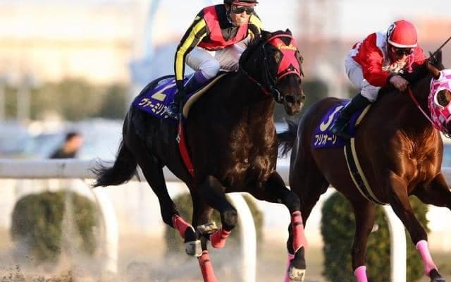 GI/JpnI・9勝のダート王ヴァーミリアンが疝痛のため死亡 22歳