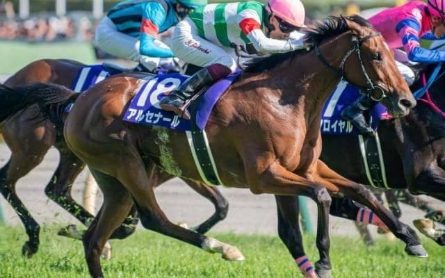 半姉はマイルCS覇者のナミュール 良血馬が納屋橋Sでオープン入りなるか