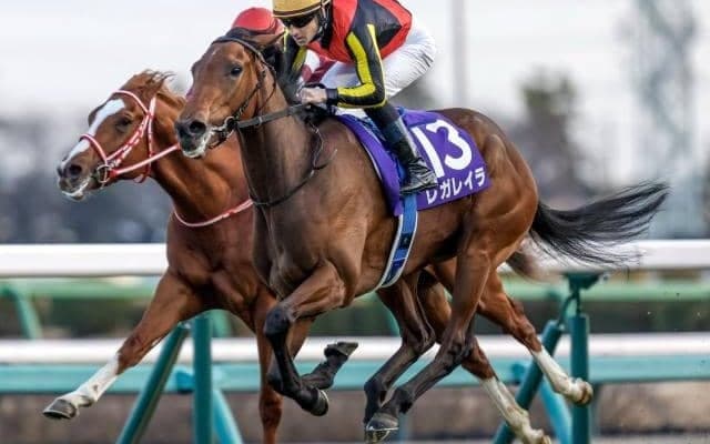 【ローズS予想】中京2000mはハイペースになりにくい 瞬発力がモノをいう一戦に