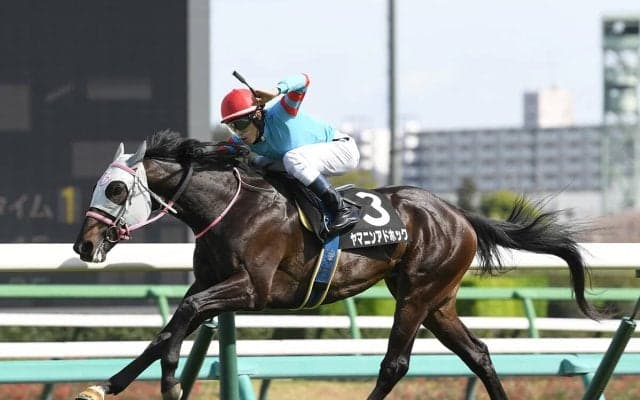 今年のセントライト記念は波乱の予感...ひと夏越して成長した素質馬２頭の一発に期待