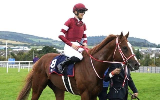 【愛チャンピオンS】矢作師「次に向けては良いレースだった」シンエンペラーは3着