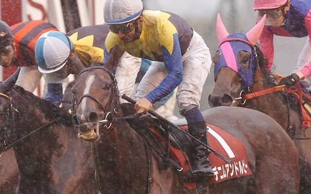 9月15日は「関ケ原合戦の日」 過去のJRA開催では東と西どっちが強い？