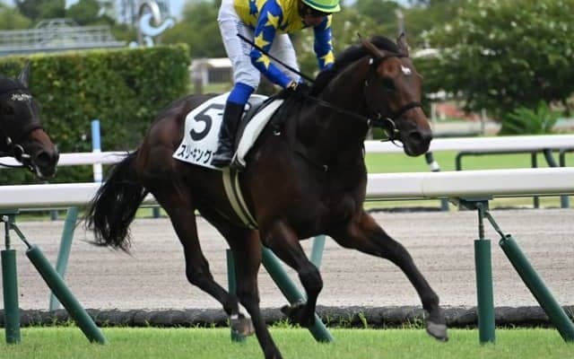 【中京5R新馬戦結果】エピファネイア産駒スリーキングスが競り合いを制す