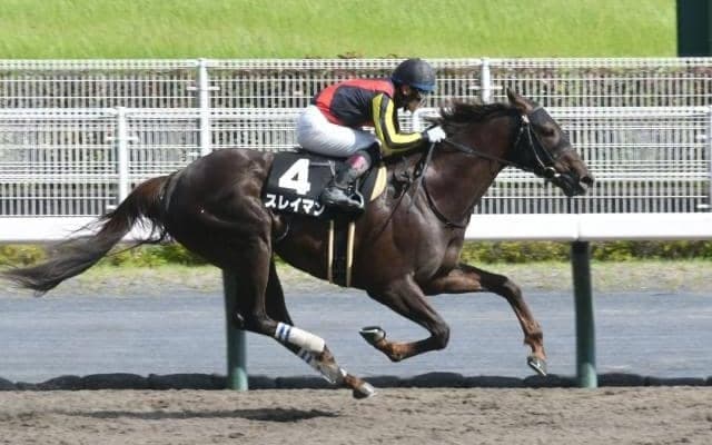 【浦和・オーバルスプリント枠順】重賞初制覇を狙うスレイマンは4枠4番 今年は7頭立て