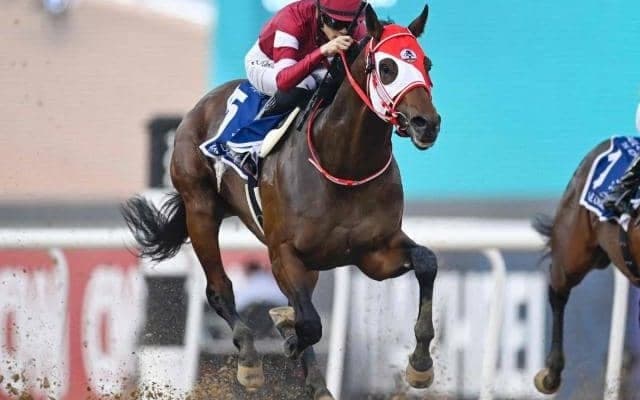 半兄は重賞4勝フォーエバーヤング ブラウンラチェットがルメール騎手でデビューVなるか