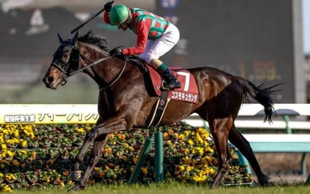 【AI予想・セントライト記念】前走は条件が合わず参考外！ 実績十分の舞台で改めての期待