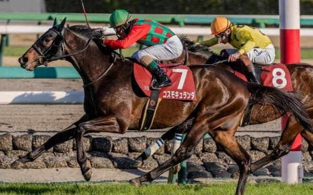 【今日の注目ポイント】中山で菊花賞トライアル・セントライト記念