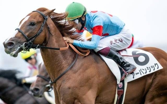 【セントライト記念予想】菊花賞への切符をかけた戦い ロングスパートタイプに向くコース