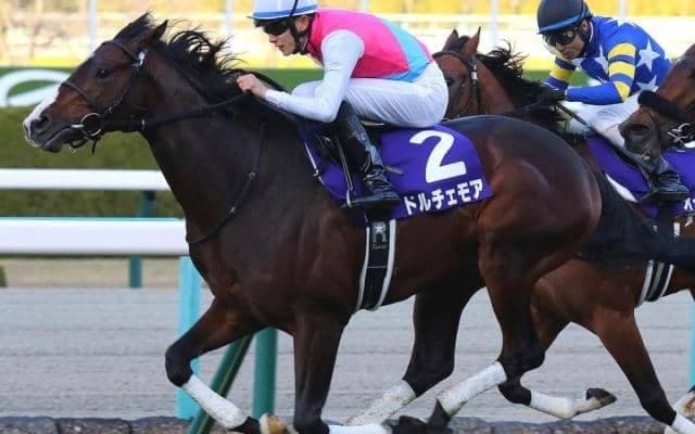 母も兄もGI馬 良血ベストシーンがデビューVなるか