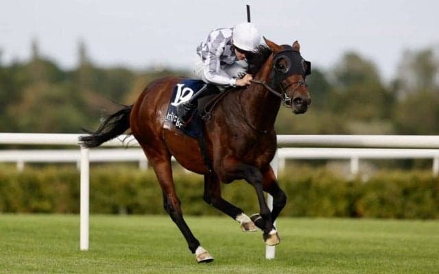 キーファーズ共同所有ファイターが快勝…所有馬海外5連勝と好調