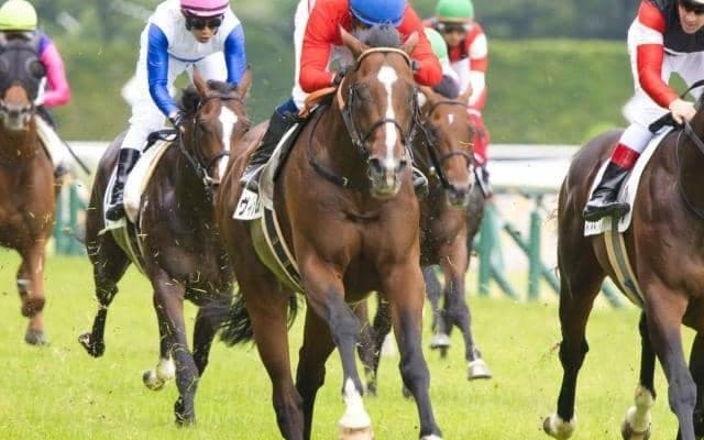 (株)フクキタルにとって縁のあるレース 神戸新聞杯で初の平地重賞制覇なるか