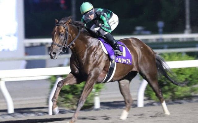 【高知・建依別賞】単勝1.1倍ヘルシャフトが完勝…吉原「自信を持って乗れた」