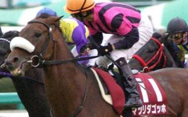 名種牡馬最終世代の1頭は中山の鬼 オールカマー3連覇を振り返る