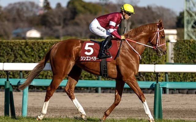 【凱旋門賞オッズ】シンエンペラーは9倍で3番人気タイ 仏のソシエが1番人気に