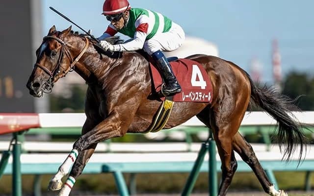 【オールカマー想定騎手】レーベンスティールはC.ルメール騎手、ステラヴェローチェは横山典弘騎手