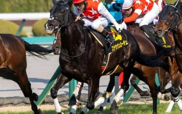 2200m戦の連対率は100％ 3年ぶりの復活重賞V狙うステラヴェローチェがオールカマー参戦