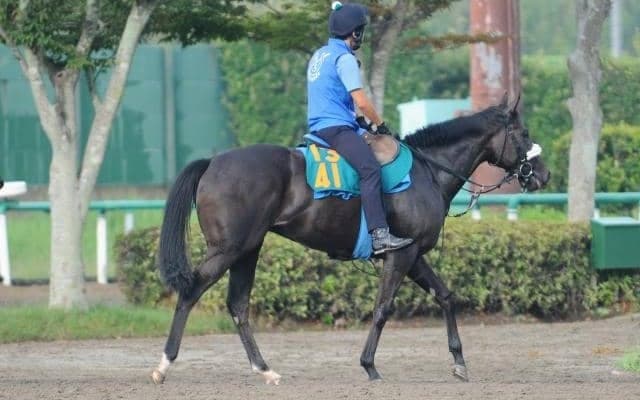 フローラS勝ち馬の仔 土曜中山で初陣へ/関東馬メイクデビュー情報