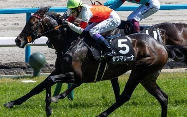 武豊騎手が神戸新聞杯14年ぶり4勝目へ 今年は末脚自慢の上がり馬と参戦