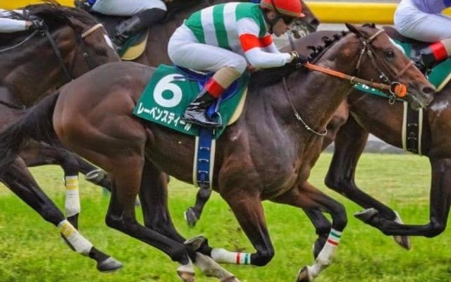 帝王の血を引く“大器” オールカマーで重賞連勝なるか