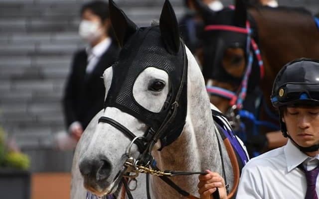 「アイドルホースオーディション2024」最終結果 最多の2万3457票を集めたのは？