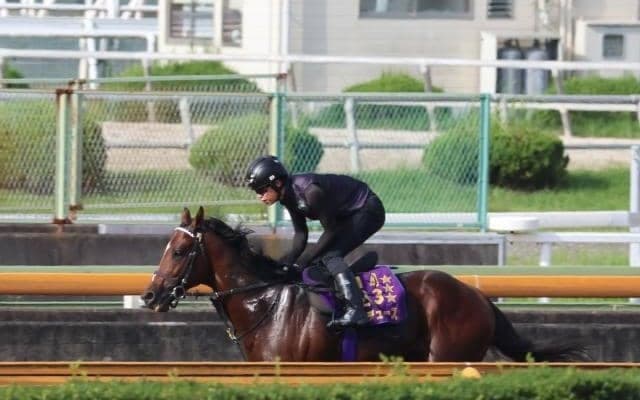 ドウデュースなど、先週の入厩情報/栗東トレセンニュース