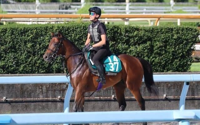 ヴィブロスの2022(クラヴァンス)など、先週のゲート試験/栗東トレセンニュース