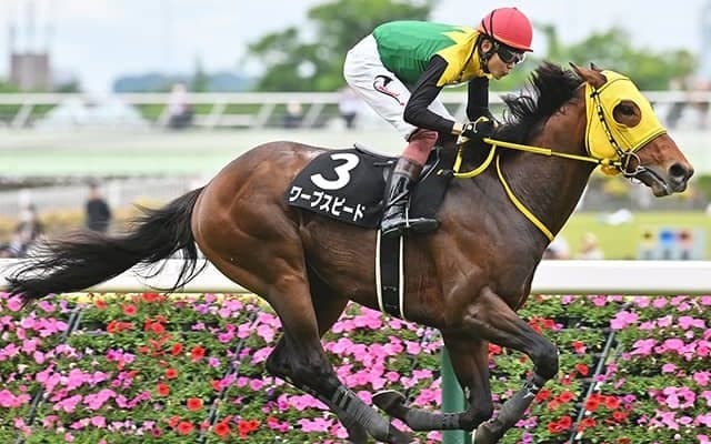 豪G1・コーフィールドCとメルボルンCのハンデ重量が発表 日本からワープスピードなどが参戦予定