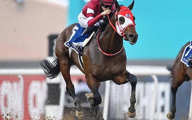 海外重賞2勝馬や東京ダービー馬参戦 ジャパンダートクラシックの選定馬16頭が発表