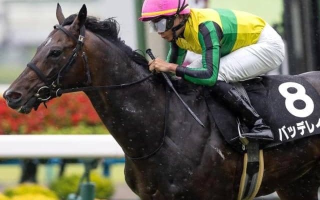 トップナイフの半弟はここまで3戦2勝 神戸新聞杯でタイトル奪取狙う